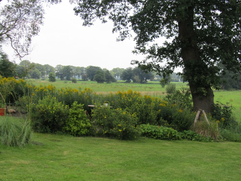 Noordlaren 011