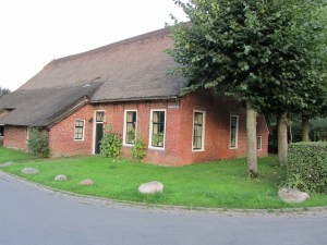 Noordlaren 030