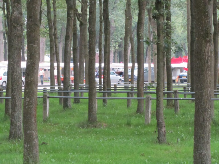 Zuidlaren 003