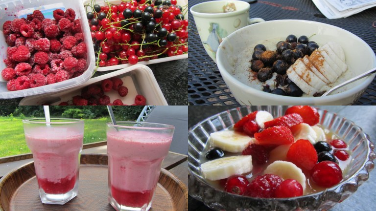 Noordlaren zomer 2013-001