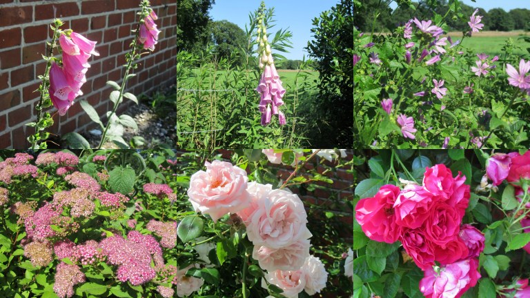 Noordlaren zomer 2013