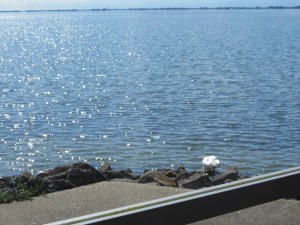 Theaterterras Hoorn Uitzicht