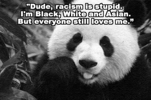 971504_723016247728059_132886038_n