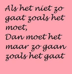 1457555_789054181120874_489706672_n