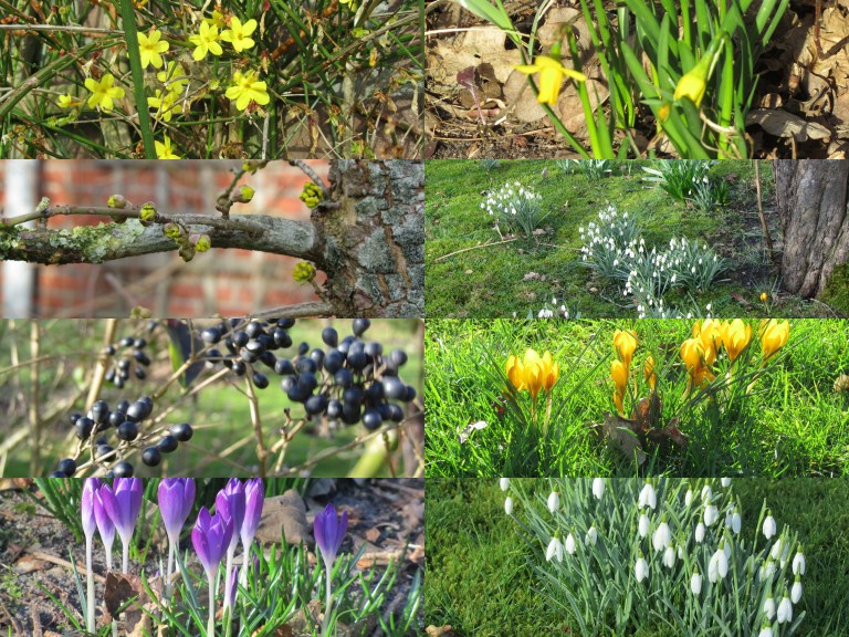 Februari 2014 NrdLaren