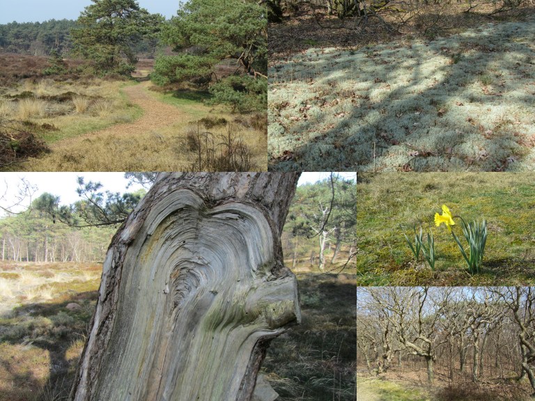 Fransman-Berenkuil-001