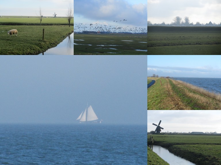 Warder 1-2-2015