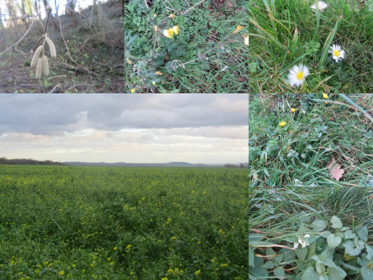 Krijtlandpad 21-12-2015