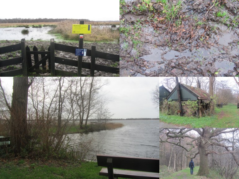 Trekvogelpad Weesp-Bussem Zuid 5-12-2017