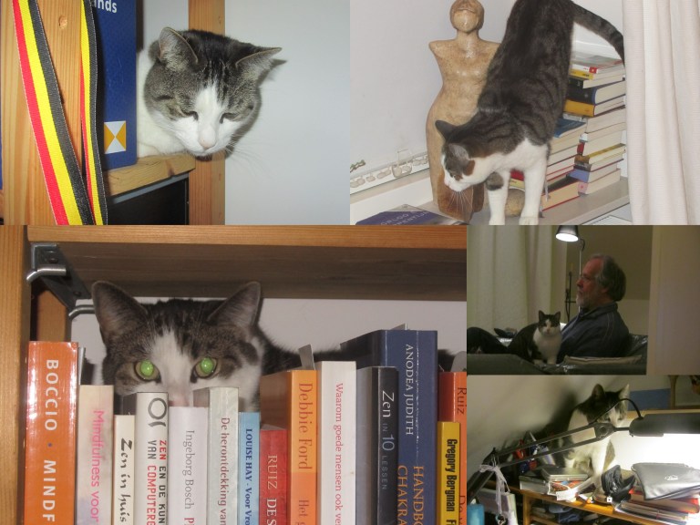 Thuis na juli 2015-003