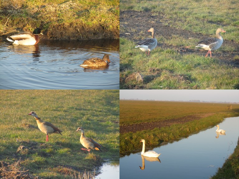 Thuis na juli 2015-004