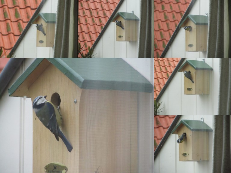 Thuis na juli 2015-005