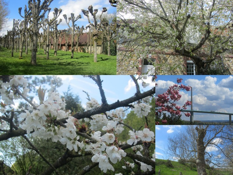 Caudebec en Caux-001