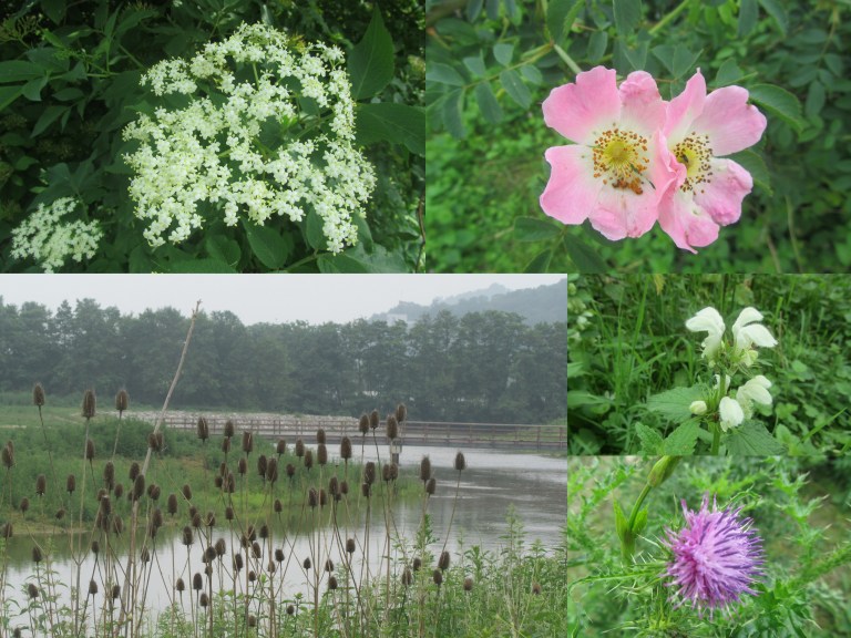 maastricht 3 - 4 juni2016