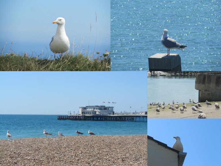 Worthing zomer 2016-002