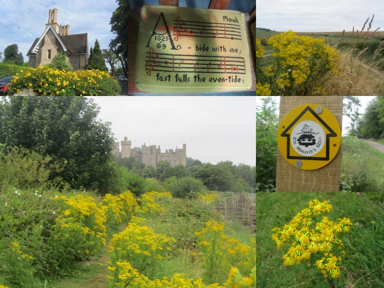 Worthing zomer 2016-009