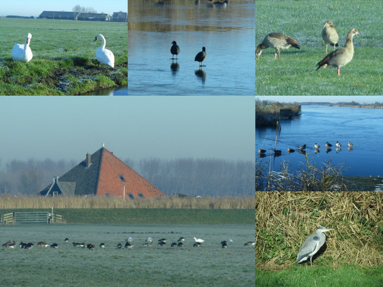 overleek-mdam-oosterweg