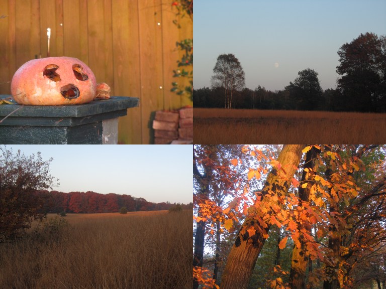 trekvogelpad-otterlo-hoenderlo-11-11-2017