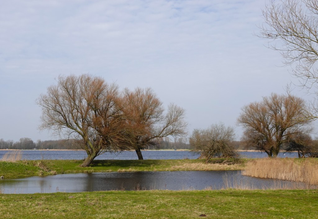 Deze afbeelding heeft een leeg alt-atribuut; de bestandsnaam is naamloos-35.jpg